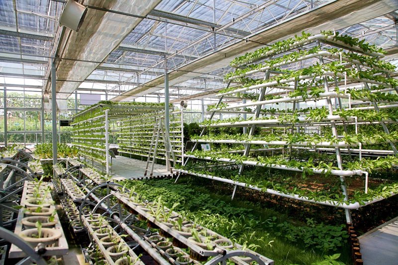 南京京禾农业怎么样？这家企业在当地颇有名气，下面我们通过对比的方式来看看它的优势与不足。